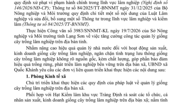 Công văn V/v tăng cường công tác quản lý giống cây trồng lâm nghiệp trên địa bàn xã